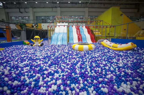 【环保百万海洋球池加盟 游乐设备 儿童游乐设备生产厂家】-
